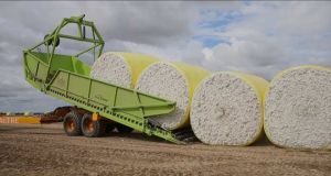 Row Cotton Bales