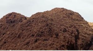 Coir Pith Powder