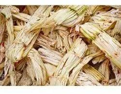 sugarcane waste