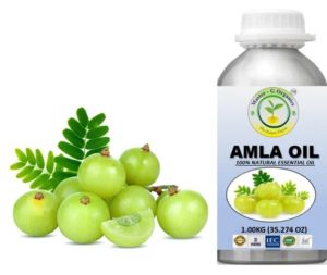 AMLA EXTRACT OIL