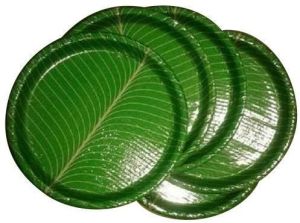 100 Gsm 12 inch banana leaf paper plates