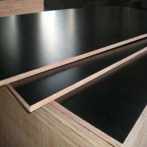 Double Sided Film Flooring Plywood Board