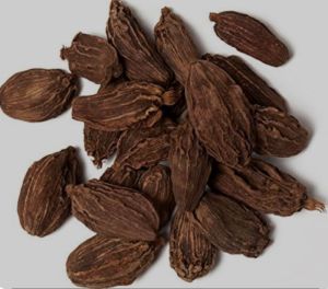 Nepal Black Cardamom (Badi Elaichi)