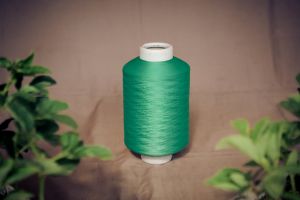 Dyed Polyester Textured Yarn