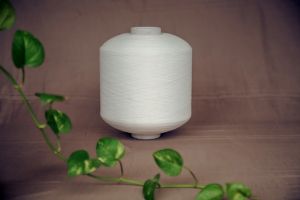 Dyed Polyester Textured Yarn