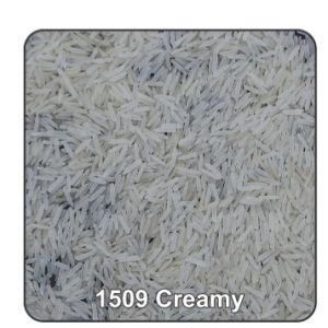 White Basmati Rice