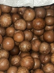 Macadamia Nuts