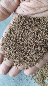 Ajwain