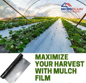 Mulching Film