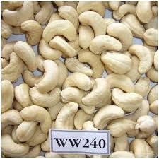 Cashew W240