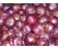 dried Red onion