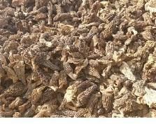 Dried Morels