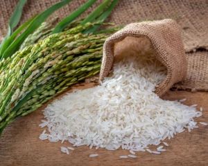 Basmati rice