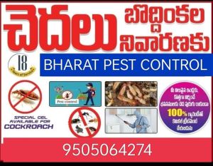 Organic Pest Control Service