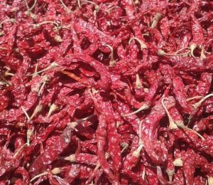 Dry Red Chilli