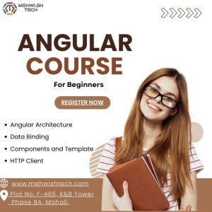 Best Angular Course Mohali