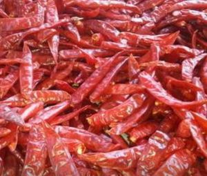 Dried Red Chili