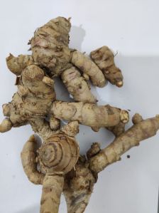 Black Turmeric