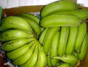 Green Banana