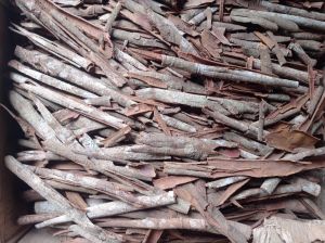 Cinnamon Bark