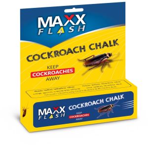 Cockroach Chalk