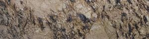 Alaska Gold Granite Slab