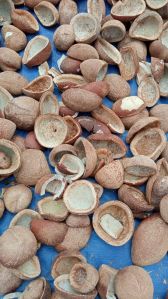 Dried Copra Coconut