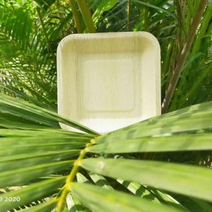 Areca Leaf Plate