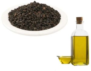 Babchi Oil