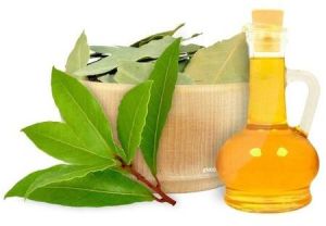 Laurel Leaf Oil