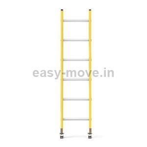 FRP Wall Ladder