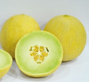 F1-Safal Diamond Muskmelon Seeds