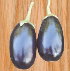 F1-SSB 765 Brinjal Seeds