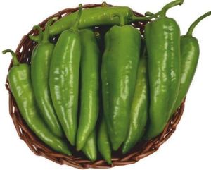 F1-SSB-800 Capsicum Seeds