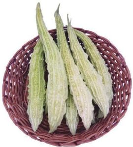 F1 Wazir Bitter Gourd Seeds