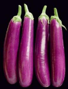 Purple Long Brinjal Seeds