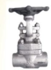 Forged Steel Gate Valve