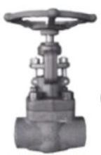 Forged Steel Glove Valve