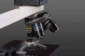 Microscope Objective Lens