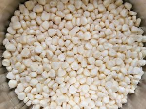 White Maize Corn Non Gmo