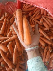 orange carrot