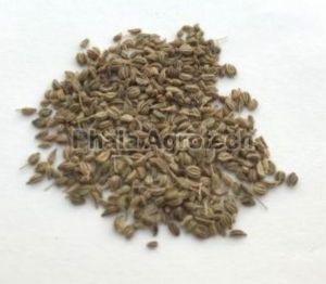 Ajwain Seeds