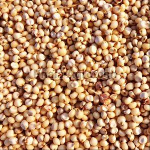 Dried Sorghum Millet Seed