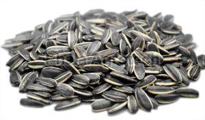 Sunflower Seeds