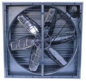 Poultry Exhaust Fan