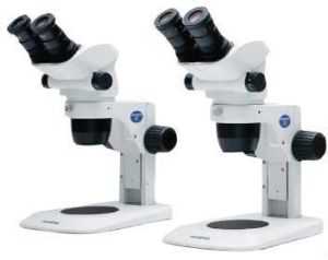 Stereo Microscope