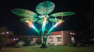 10 Kw Gpts Palm Flower Solar Tree