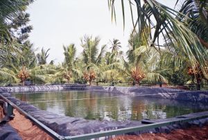 HDPE AND LDPE POND LINER