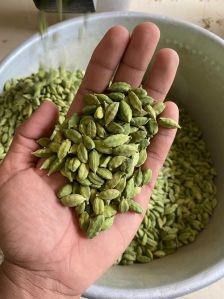 Green Cardamom