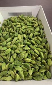 Green Cardamom